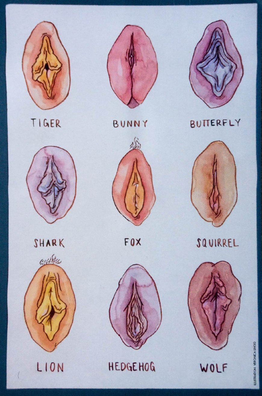 870px x 1313px - Different types of vaginas - 67 photo