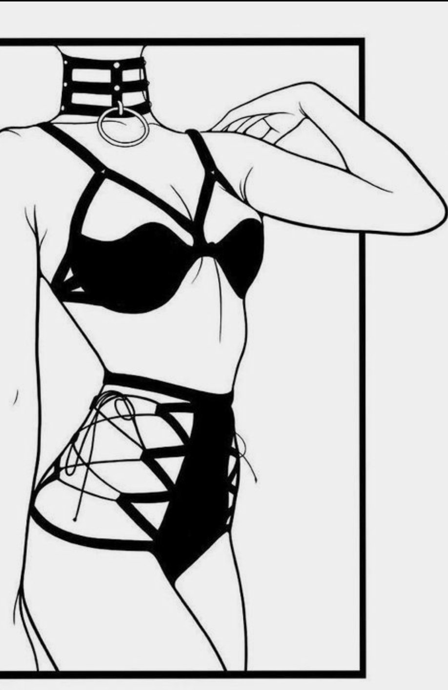 The outlines of the female body