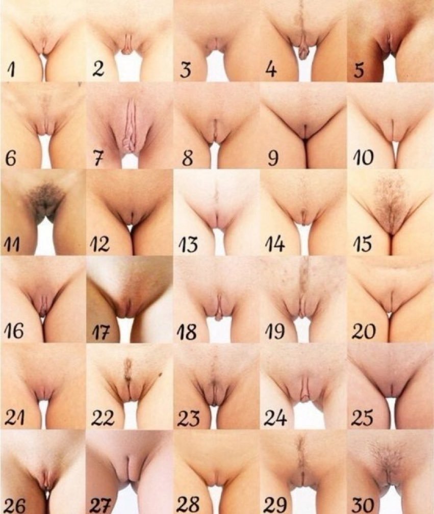 Varieties of female pussies