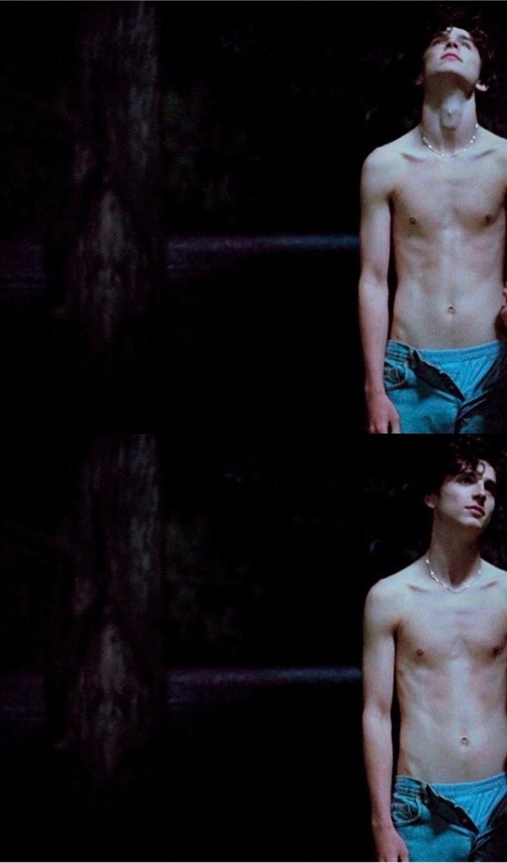 Timothy chalamet nudes - 77 photo