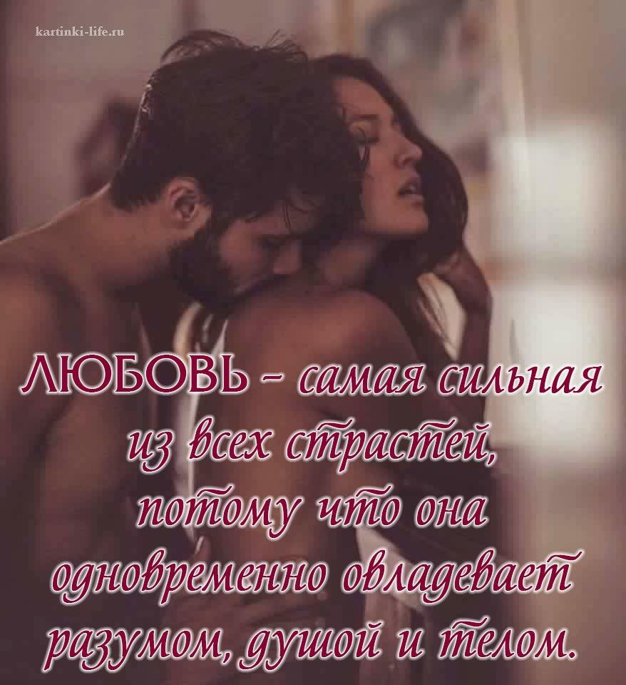Beautiful statements about passion