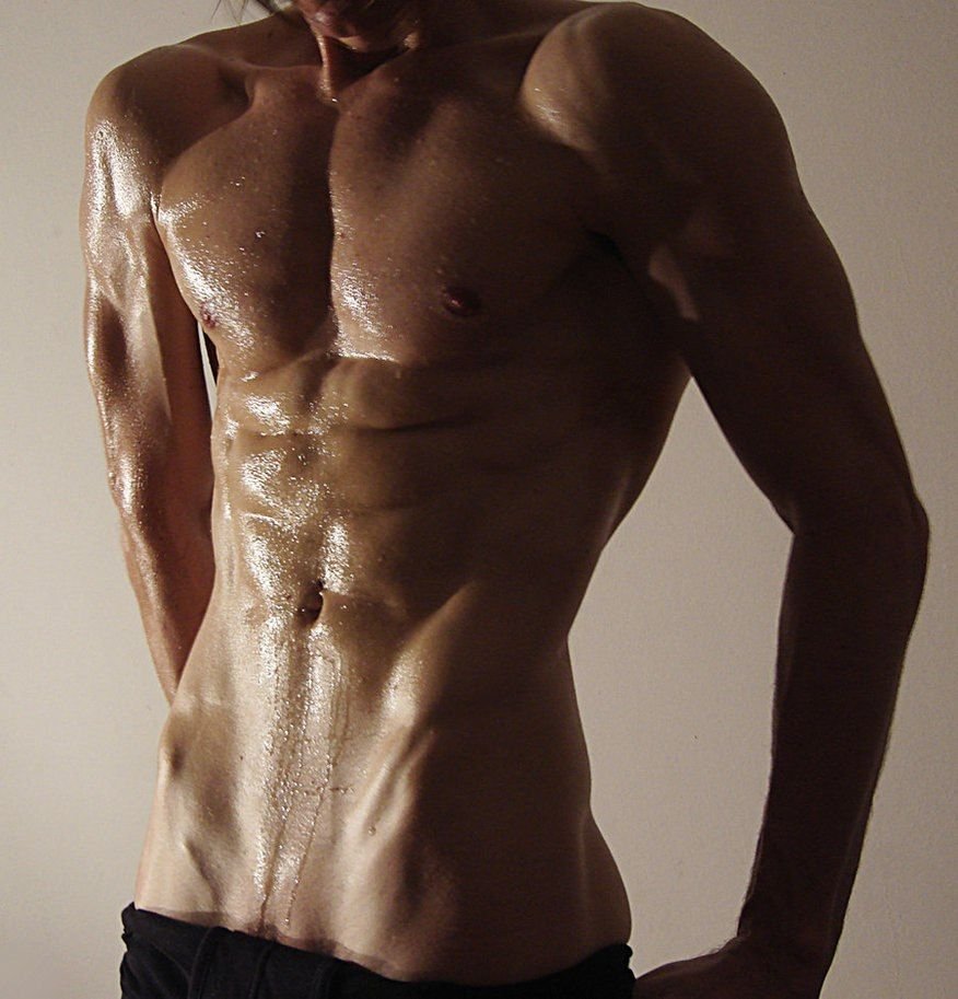 Torsos Anatomy Reference