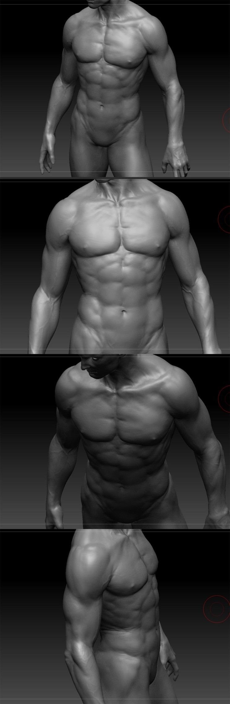 Aleksios Assassins Creed torso