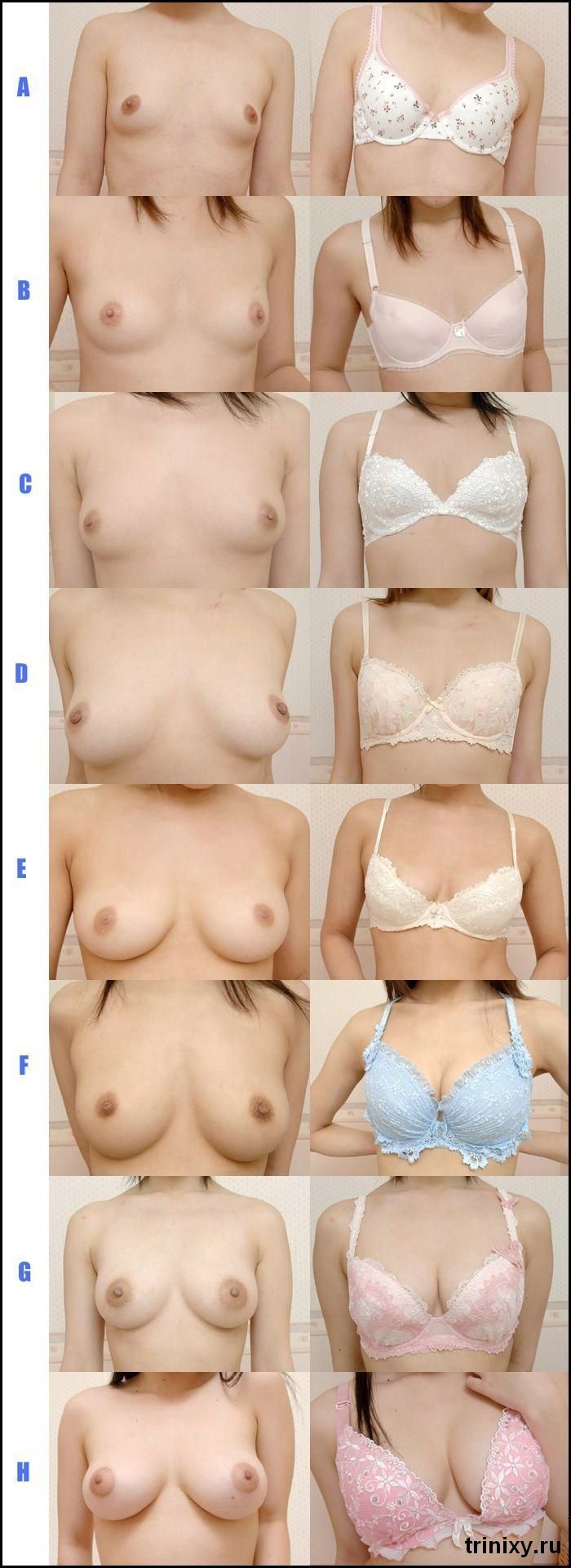 Women's boobs of different sizes