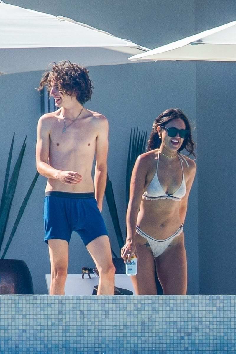 Timothee chalamet nudes - 75 photo