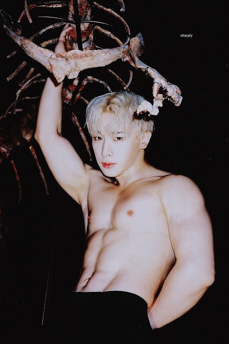 Wonho 18