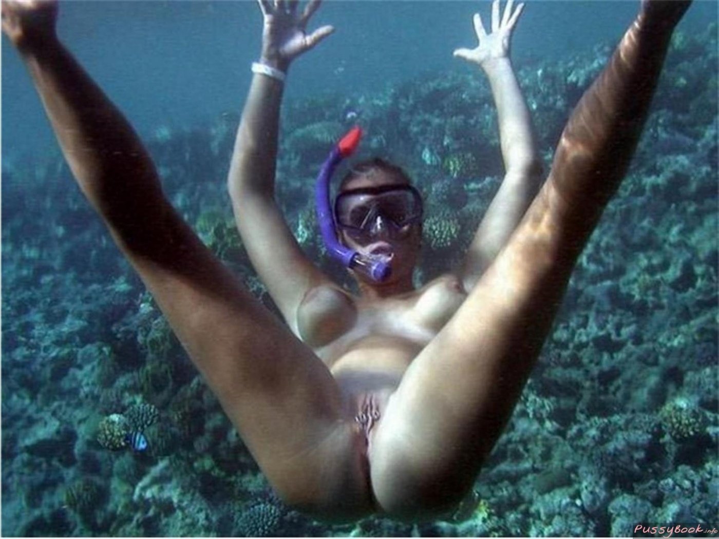 Nude diving - a-lohas.jp