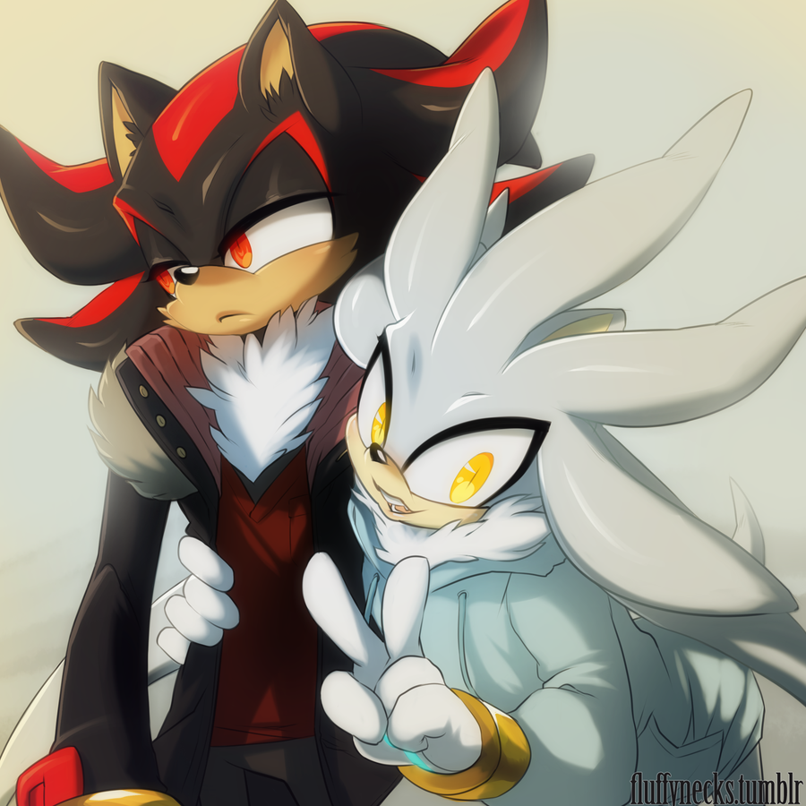 Sonic shadow silver