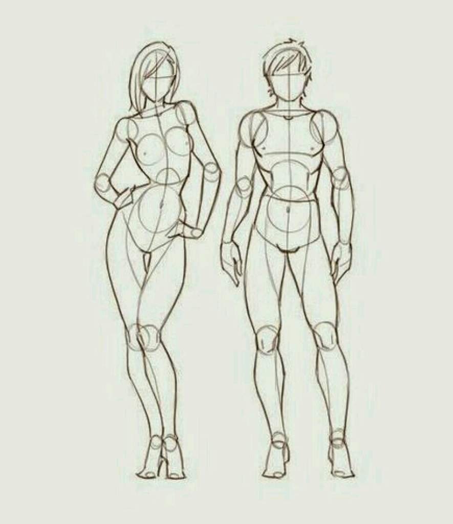 The body of the girl reference proportion