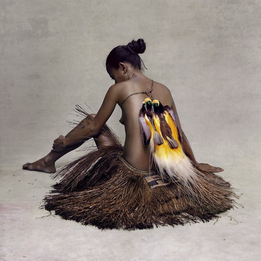 Paradise Birds Paradise Anna Nelly