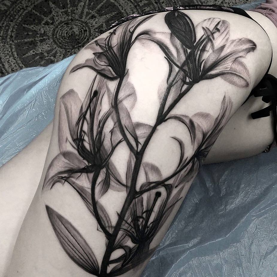 Tiger Lilly Hot