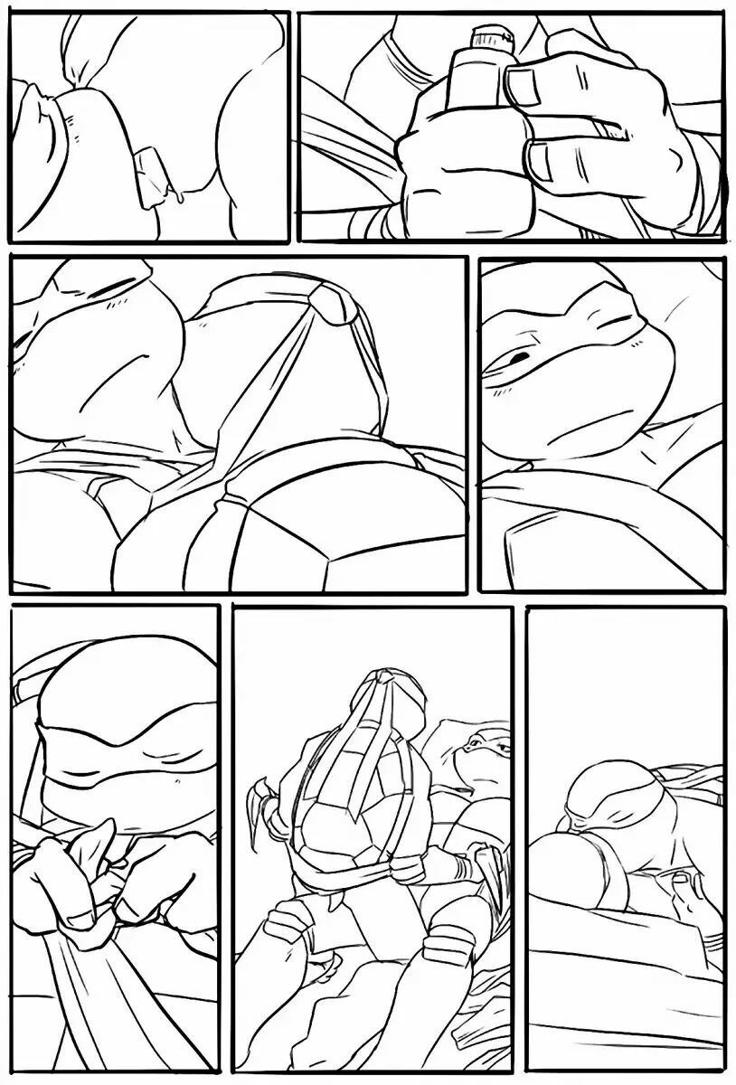Takhi evolution of ninja turtles