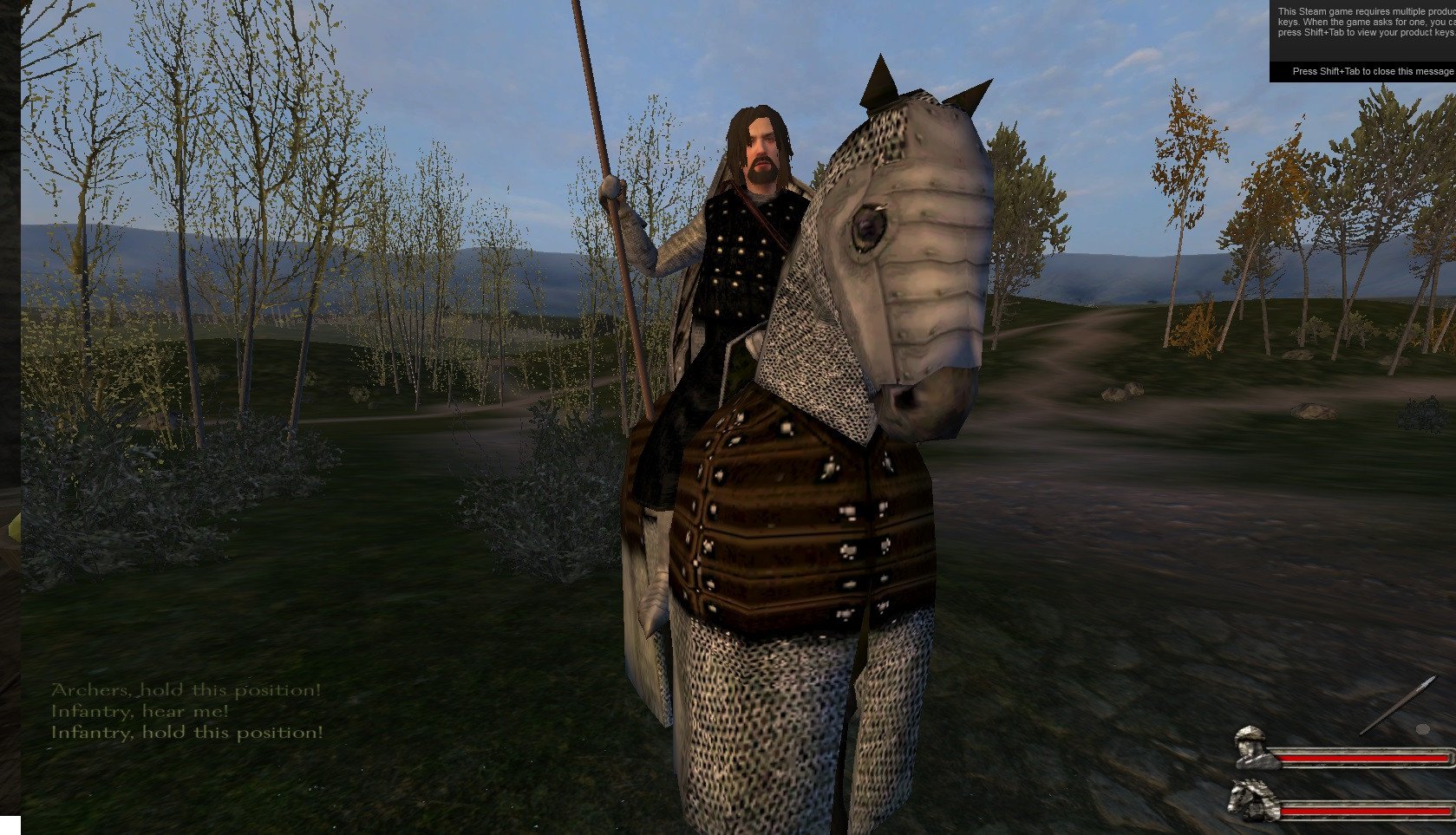 Mount and blade warband good mod - 69 photo