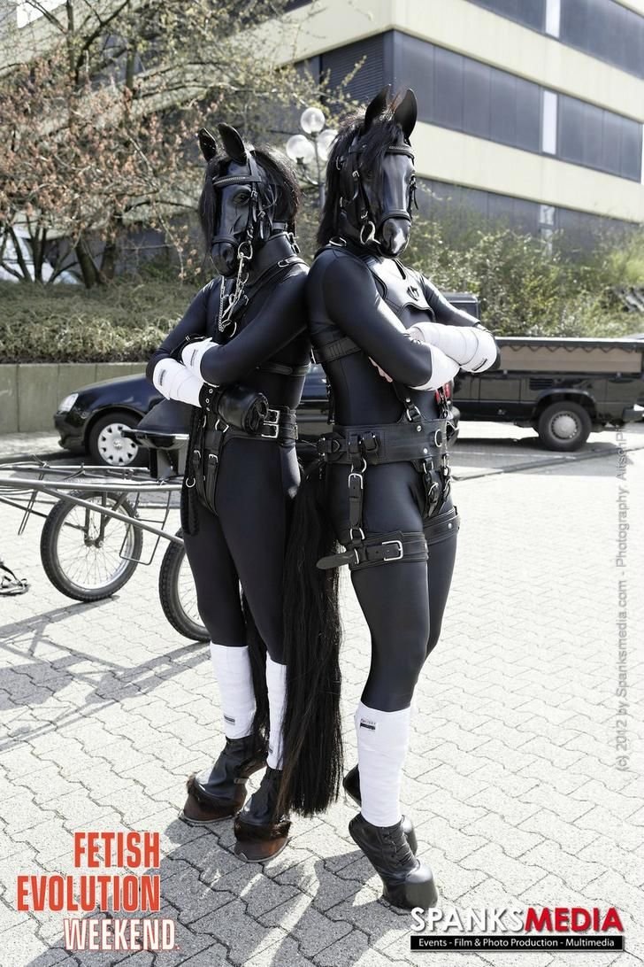 Latex horse