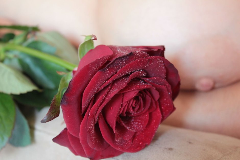 Female rose