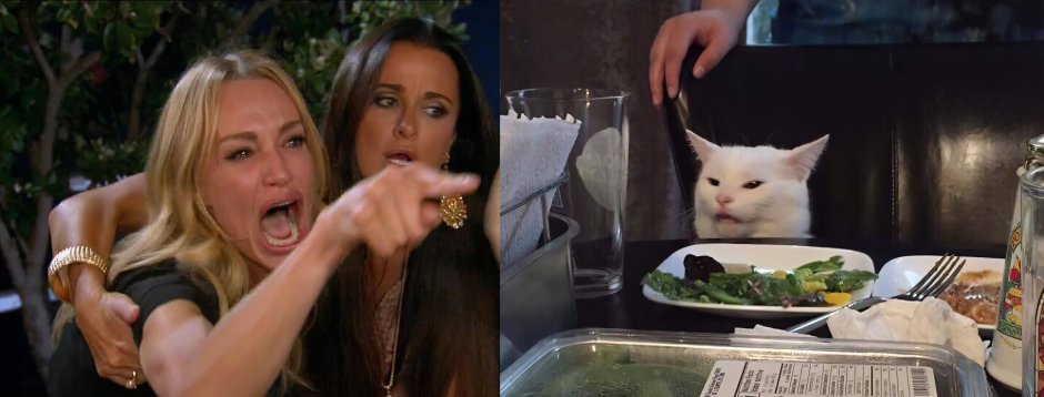Mem with Cameron Diaz and Cat