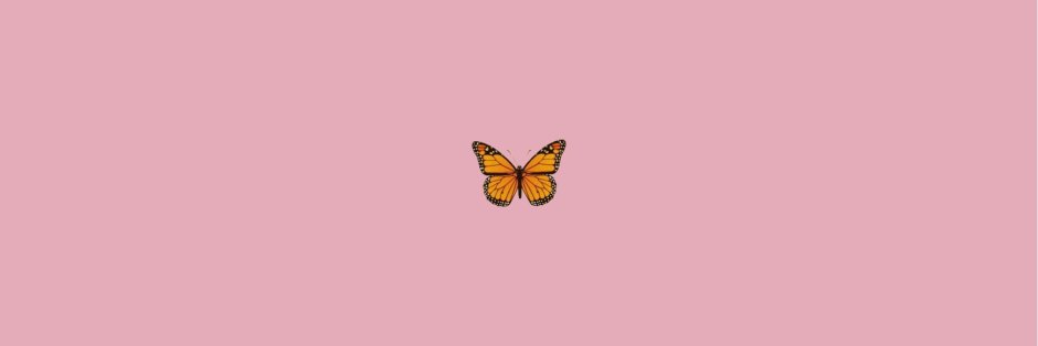 Wallpaper on a laptop butterfly