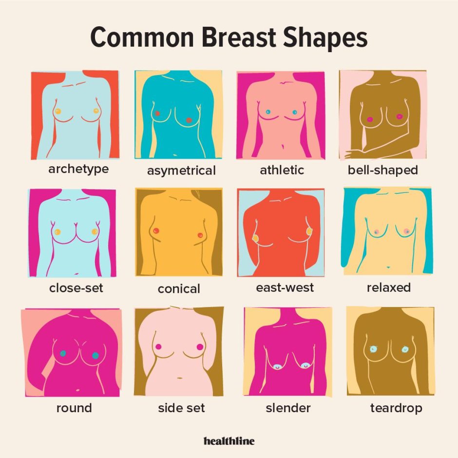 The name of the forms of the female breast