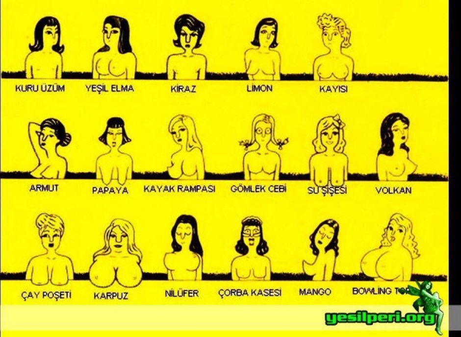 Forms of the chest