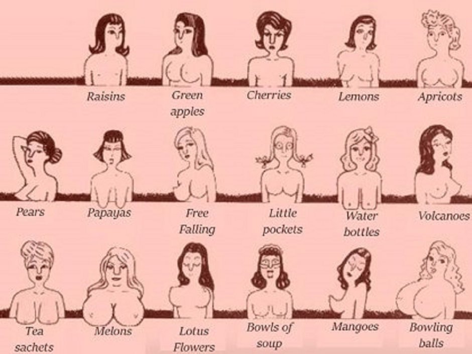 References women's nipples