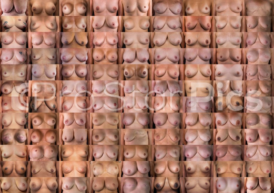 Forms of the sternum are female