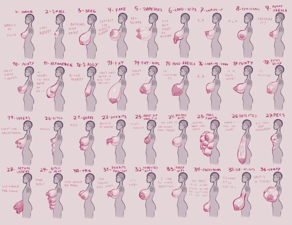 Breast size in pictures