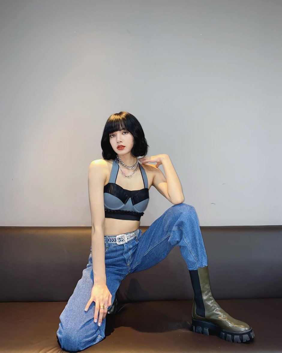 Fox Black Pink belly