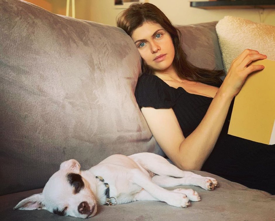 Alexandra Daddario Personal Life 2022