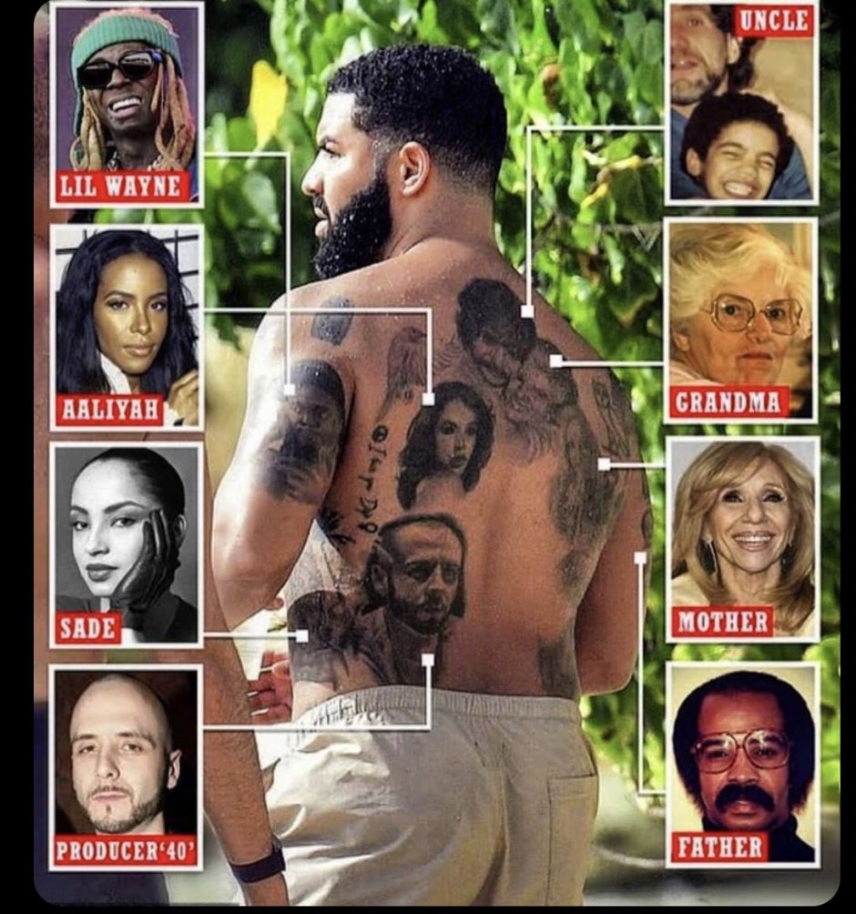 Drake torsos