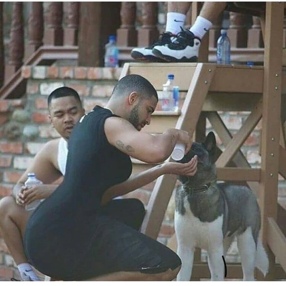 Drake What's Next