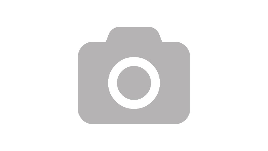 Webeweb model