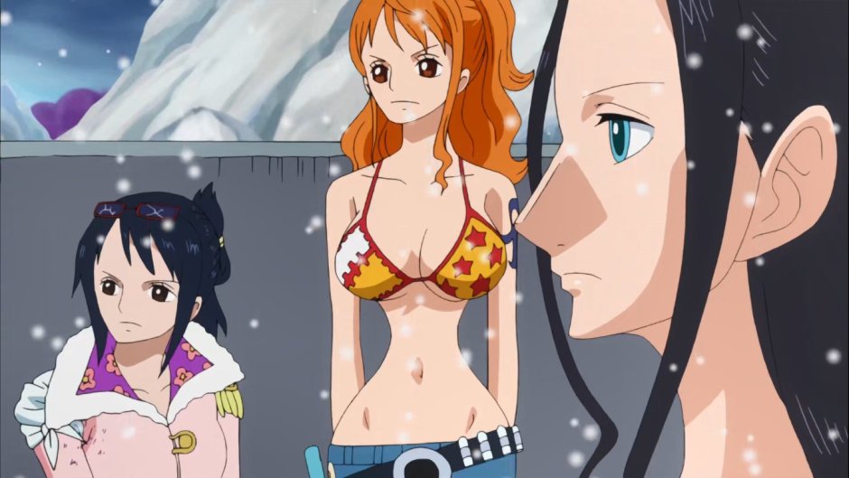 Van Pis Nami +18