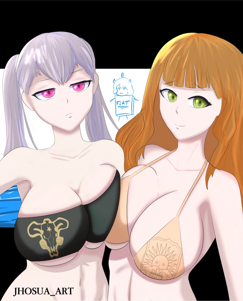 Black Clover Noelle Silva chest