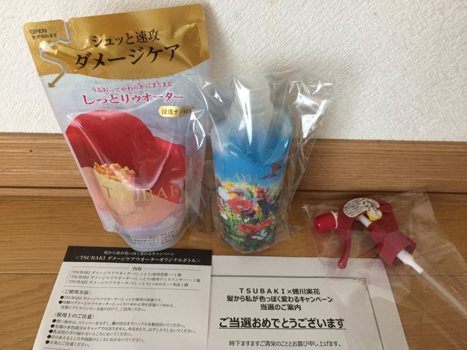 Japanese Idolblog Sakura Airi