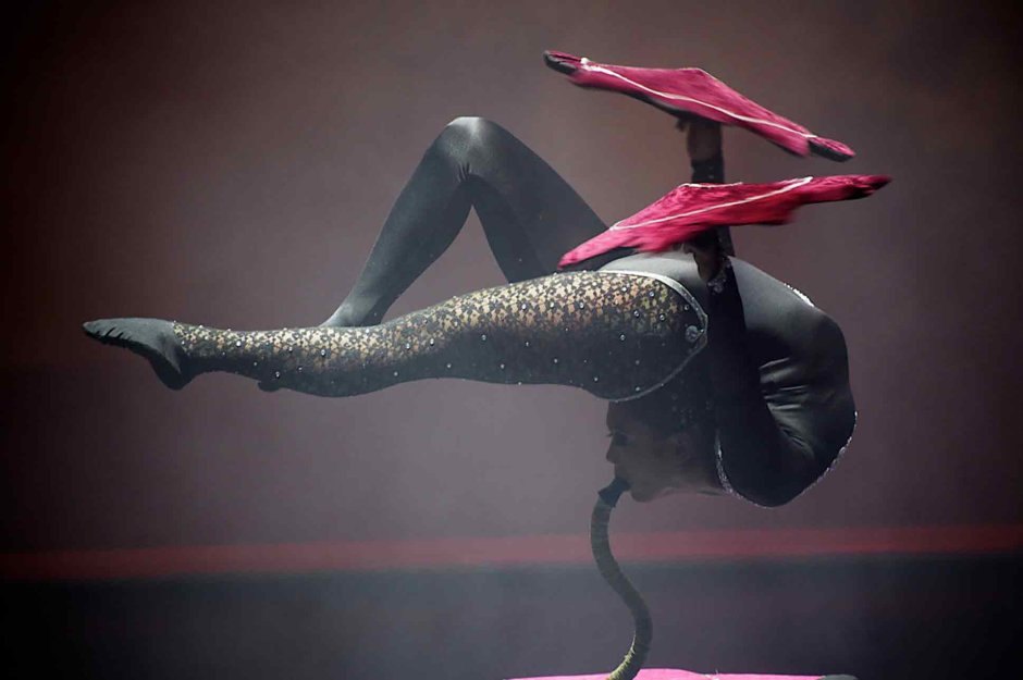 Alina Condorius