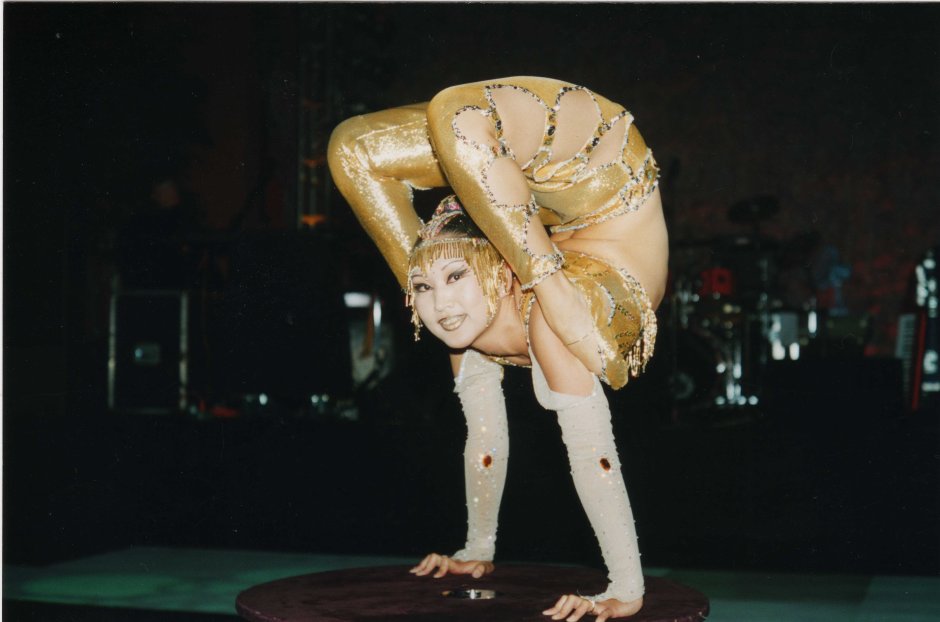Gymnasts Circus Office