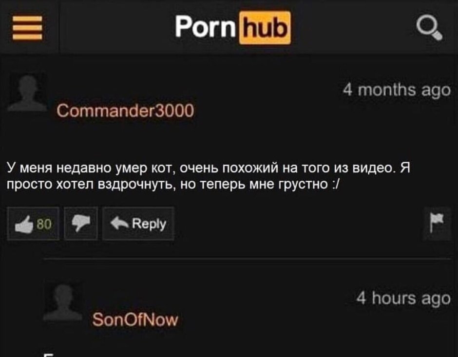 Comments from Pornhab
