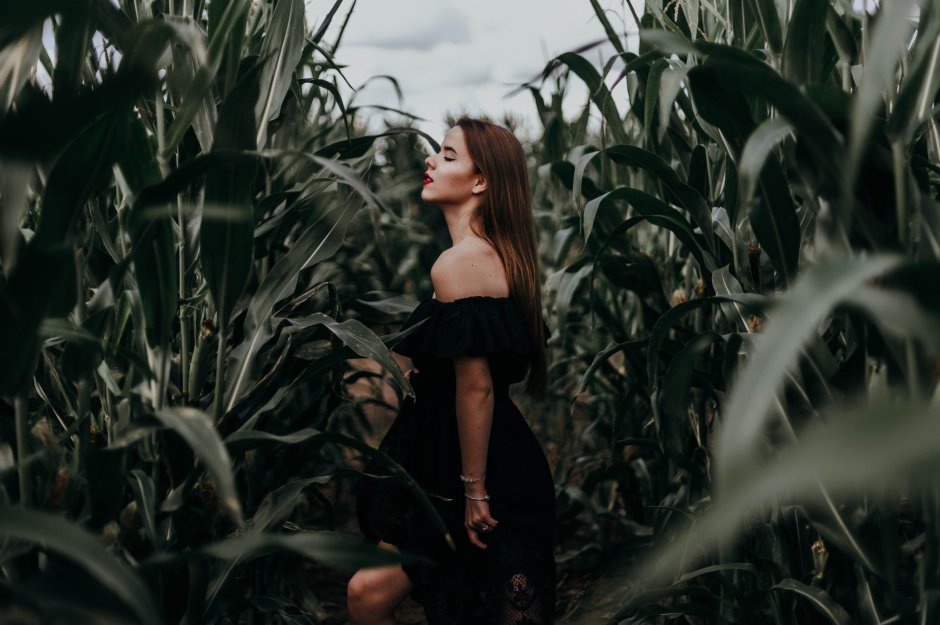 Photoshoot in corn