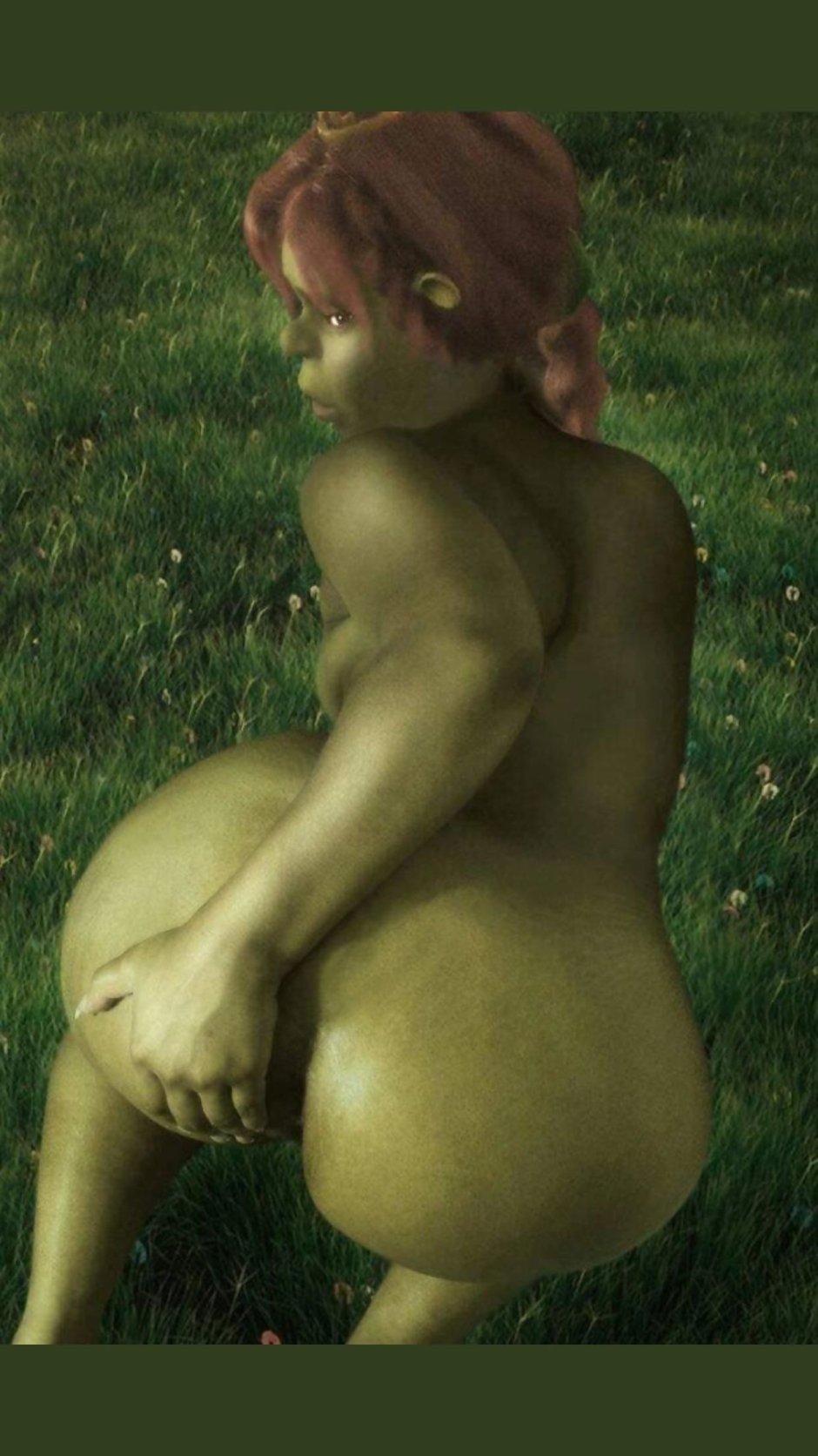 Shrek Princess Fiona Hentai 3d