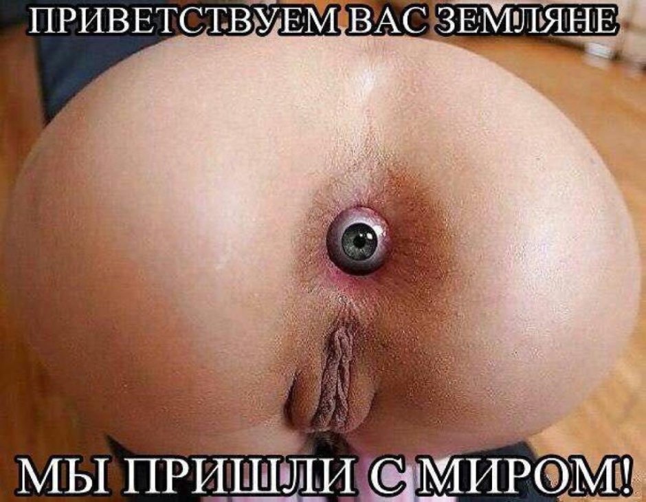 Beautiful girls show their holes