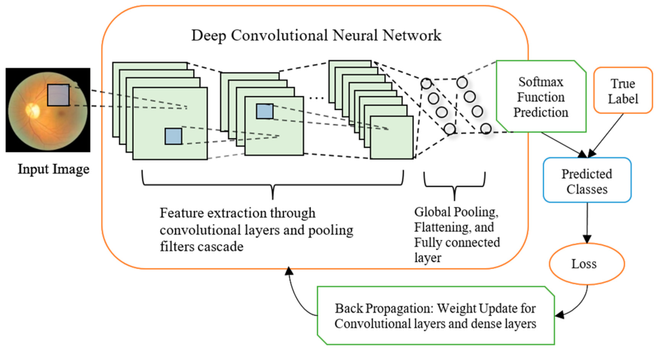 Neural Network Scheme