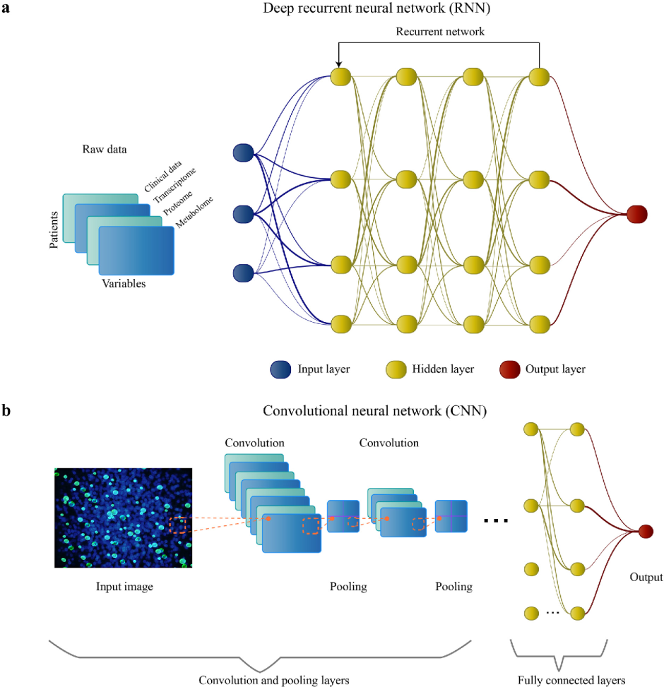Deep Learning Network