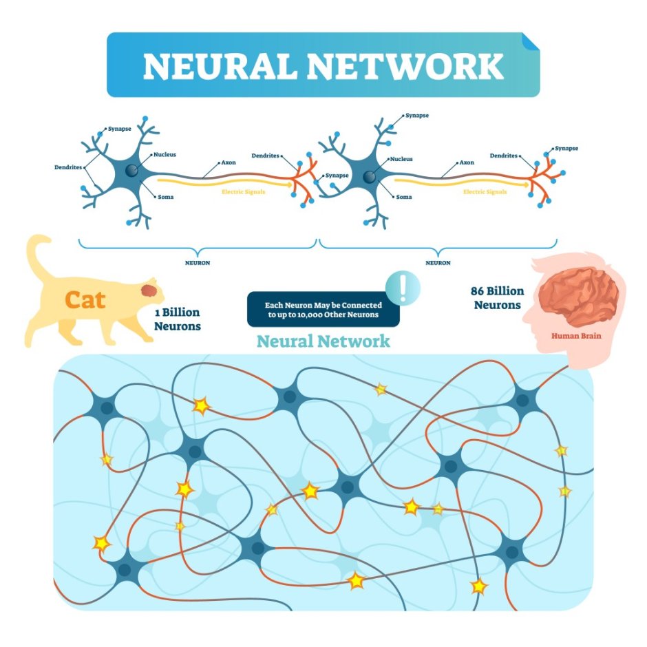 Existing neural network architectures