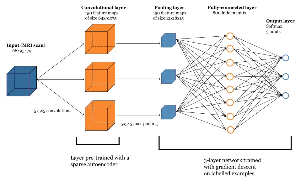 Convolutional Neural Network Architecture