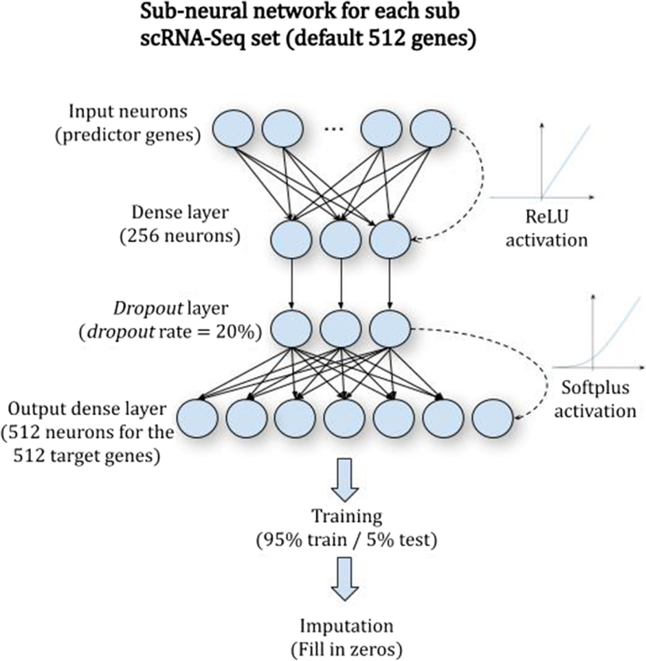 Neural Network Architecture