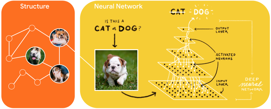 Business neural networks architecture