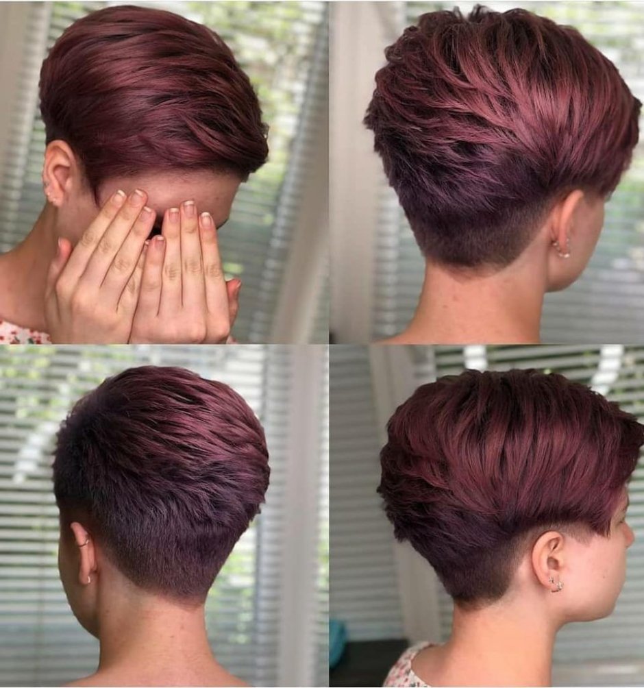 Pixie haircuts, garson, pixie bob