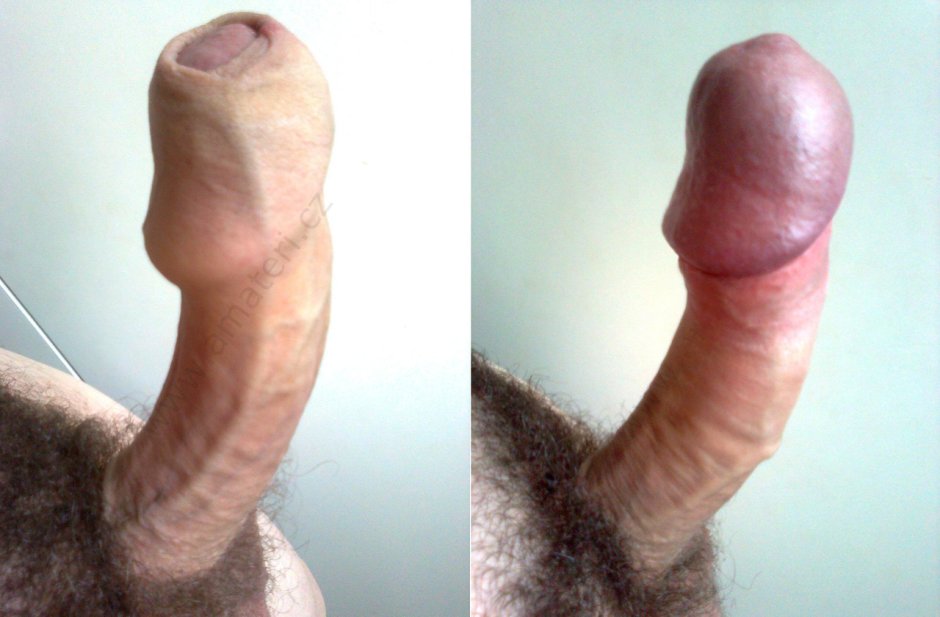 A large curved penis