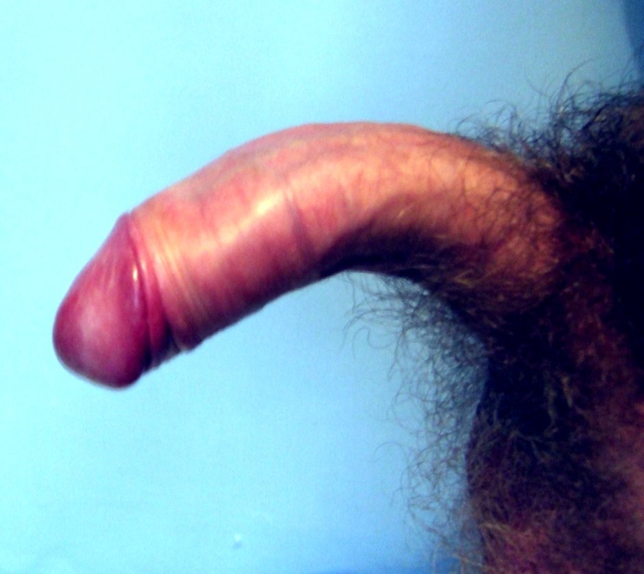 Small male cock