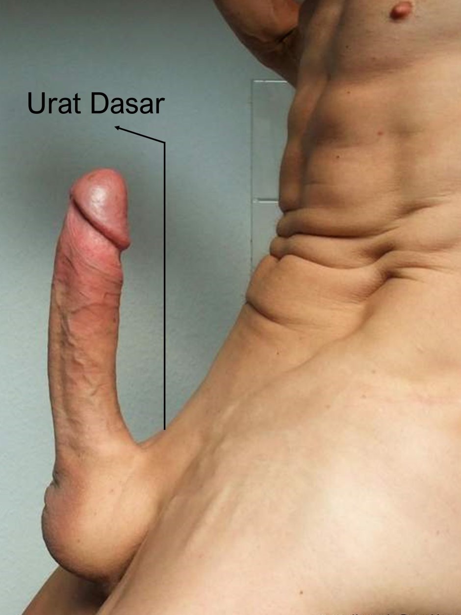 Intimate photos thick members